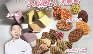 焙活字典 吳飛燁💖不敗戀人 大解密